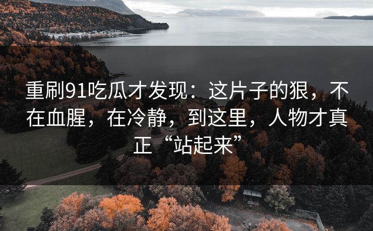 重刷91吃瓜才发现：这片子的狠，不在血腥，在冷静，到这里，人物才真正“站起来”