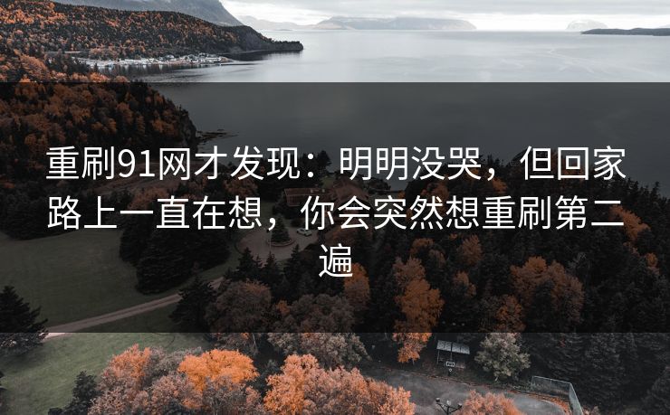 重刷91网才发现：明明没哭，但回家路上一直在想，你会突然想重刷第二遍