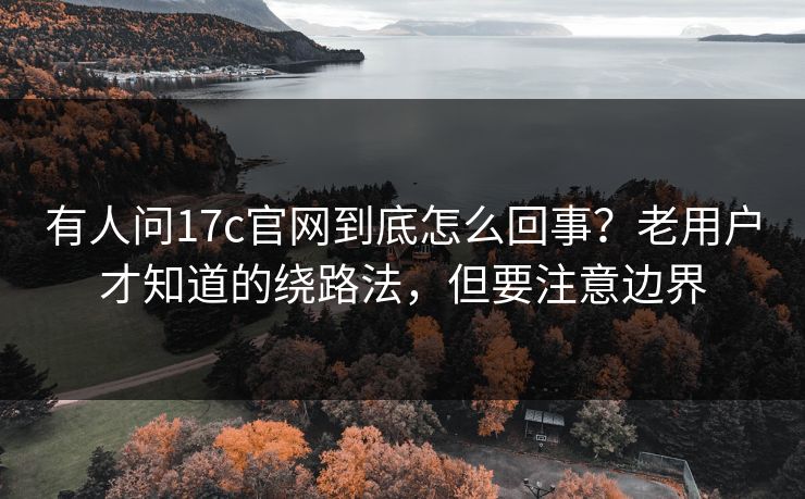 有人问17c官网到底怎么回事？老用户才知道的绕路法，但要注意边界