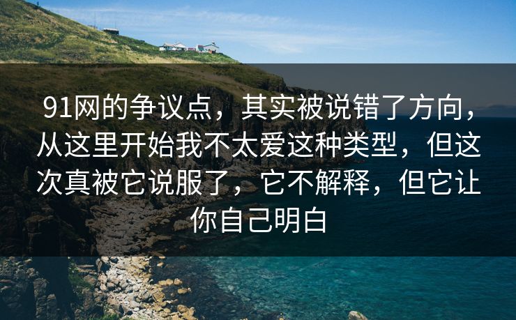 91网的争议点，其实被说错了方向，从这里开始我不太爱这种类型，但这次真被它说服了，它不解释，但它让你自己明白