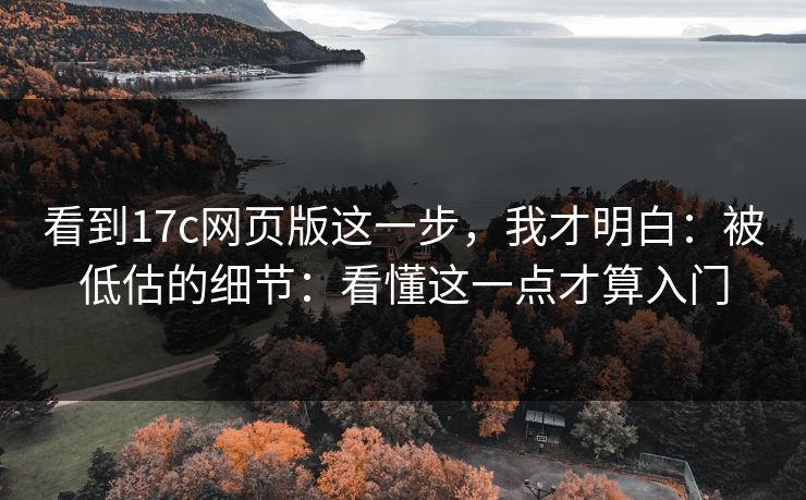 看到17c网页版这一步，我才明白：被低估的细节：看懂这一点才算入门