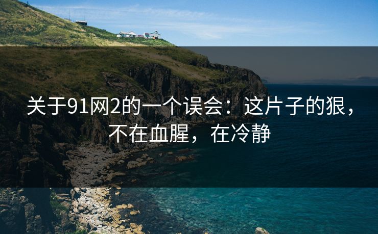 关于91网2的一个误会:这片子的狠,不在血腥,在冷静