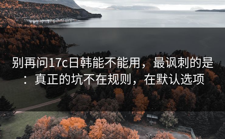 别再问17c日韩能不能用,最讽刺的是:真正的坑不在规则,在默认选项